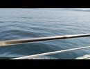 アメリカの駆逐艦〔フレッチャー級駆逐艦〕の駆逐艦ヘイゼルウッド、駆逐艦ヒーアマン、駆逐艦ホーエルの第二次世界大戦時の乗組員の気分になれるアメリカ海軍WW2当時の大太平洋戦争カラー映像