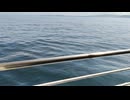 アメリカの駆逐艦〔フレッチャー級駆逐艦〕の駆逐艦フレッチャー、駆逐艦ラドフォード、駆逐艦ジェンキンスの第二次世界大戦時の乗組員の気分になれるアメリカ海軍WW2当時の大太平洋戦争カラー映像
