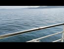 アメリカの駆逐艦〔フレッチャー級駆逐艦〕の駆逐艦ワズワース、駆逐艦ウォーカー、駆逐艦ブラウンソンの第二次世界大戦時の乗組員の気分になれるアメリカ海軍WW2当時の大太平洋戦争カラー映像