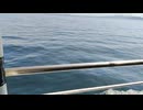 アメリカの駆逐艦〔フレッチャー級駆逐艦〕の駆逐艦マラニー、駆逐艦ブッシュ、駆逐艦トラセンの第二次世界大戦時の乗組員の気分になれるアメリカ海軍WW2当時の大太平洋戦争カラー映像