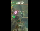 【ティアキン】モーリ橋下のイエロック　ゼルダの伝説ティアーズ オブザキングダムNintendo Switch 2 Edition