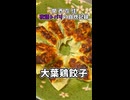 【関西在住 夜語トバリの自炊記録】大葉鶏餃子