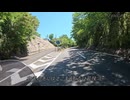 エンゼルライン