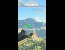 【ティアキン】ハシビロ湖南のイワロック　ゼルダの伝説ティアーズ オブザキングダムNintendo Switch 2 Edition