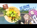 【徒歩旅行】続・やまとまほろば探訪【五條編】