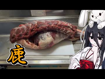 【鹿】うさぎごはん#32