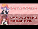 【あいえるたん誕生祭2026】あいえるたん｢シャインマスカット｣　東北きりたん｢シャインマスカット｣は芸術点高いですね【ふたセリフリスペクト】