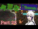 【Terraria】今更なテラリア　その28