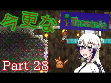 【Terraria】今更なテラリア　その28