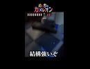 【実況】かくれんぼ中にヒーローが誕生してしまったｗｗ【めっちゃカメレオン】