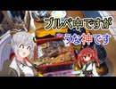 紲星あかりと「後語り的なやつです」 Part02【BRM214中部200km】【自転車車載】