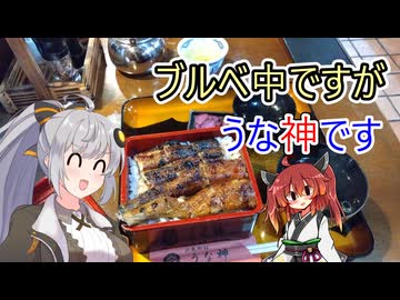 紲星あかりと「後語り的なやつです」 Part02【BRM214中部200km】【自転車車載】