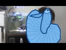 【悲報】マスオがまさかの・・・。