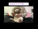 2026年元旦に披露した獅子舞