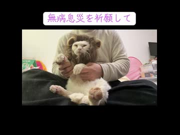 2026年元旦に披露した獅子舞