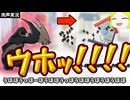 ゴリラ先生のダイナミック感染症対策【ゴリラが人類を強制的にSTAY HOMEさせるゲーム】肉声実況Part4