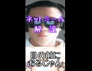 ゆかつむネットミーム解説【目の前におるじゃん】