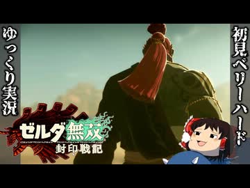 『初見ベリーハード#3』ベリハで光と時のデュアルスキルを使いこなす時を超えしゼルダ姫【ゼルダ無双封印戦記/ゆっくり実況】