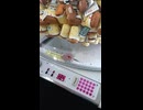 スポッチャ退場時に貰えるQRコードでクレーンゲームを無料でやってみた