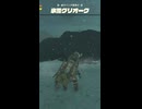 【ティアキン】南タバンタ雪原の氷雪グリオーク　ゼルダの伝説ティアーズオブザキングダムNintendo Switch 2 Edition