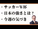 サッカーＷ杯　日本1勝1分け　スウェーデン　ブラジル　盲導犬　テニススクール提案　働く女性のための大人のおしゃべりサロン　 挨拶しよう　007　ナイブズアウト　ダニエルクレイグ