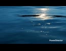《自作曲リメイク》   Water song   【AI結月ゆかり】