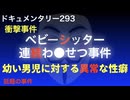 ベビーシッター連続わいせつ事件『幼い男児に対する異常な性癖』