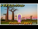 トモダチコレクション　アフリカツアーに招待する　島の住人観察日記（ポケモン編）　＃８７６　【トモコレわくわく生活】