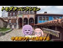 トモダチコレクション　中東欧ツアーに招待する　島の住人観察日記（ポケモン編）　＃８７７　【トモコレわくわく生活】