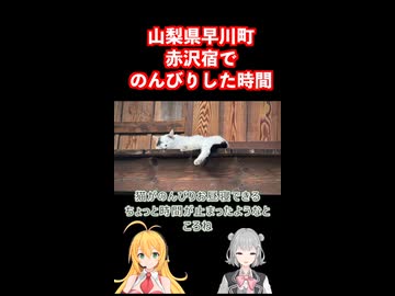 赤沢宿でのんびり！山梨県早川町釣り旅 #弦巻マキ #小春六花 実況 #フライフィッシング