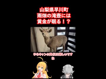 雨畑の滝壺に眠る黄金伝説！山梨県早川町釣り旅 #弦巻マキ #小春六花 実況 #フライフィッシング