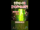 このオーラ絶対只者じゃないだろ！【SAO EoA】