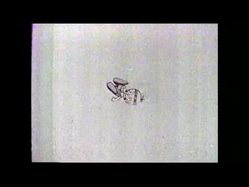 星の子ポロン　死亡シーン