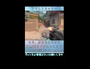 【VALORANT】オフヴァロピックアップ21 ニコニコショート