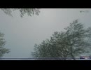 【FF11】アサルト一等傭兵ソロいきます！レクイエム作戦、ラミア13号討伐作戦