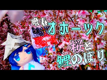 双葉湊音とオホーツク旅『サクラ散るどきどきのコイの季節』【VOICEROID旅行】