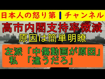 【高市内閣支持率微減で大喜びだが】この下落の主な原因は中傷動画ではなく「高市さんが外国人問題をもっとガンガンやってくれないか」という不満の数字
