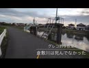 【グレコ釣り教室＠ママ週4でパートへ】倉敷川は死んでなかった【47〜8センチ？】