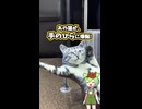 Xで話題の"ずさー"猫、3Dプリンターで印刷したら最高だった #３Ｄプリンター