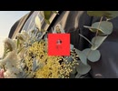 この溜息で満たして / okibi