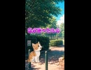私が拾ったもの　♯初恋　♯学園　♯ペット