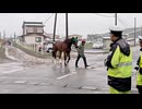 水沢競馬場周辺の交通事情