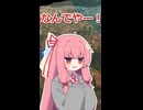 運命に振り回されてしまう茜ちゃん……？