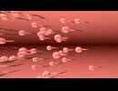 異次元の少子化対策映像  白鳥の湖リミックス