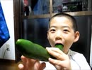 【サトシの挑戦】巨大きゅうり 丸かぶり 一気喰い！！