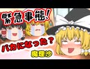 【ゆっくり茶番】バカになった魔理沙！？