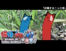 【VOICEVOX劇場】共鳴するニョロ使【第二回猫使アル/ビィ投稿祭】