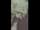 主人公の精神状態がヤバすぎて完全にホラーな瞬間【FF7リバース】