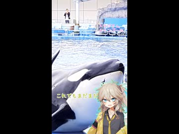 春日部つむぎのちょこっと名古屋港水族館 1