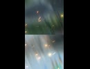 東海北陸道vs伊勢湾岸道